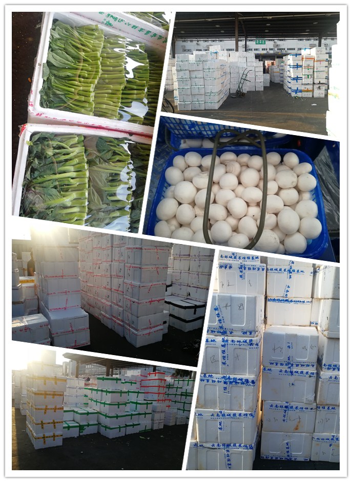 首页| PA视讯集团中国官方网站