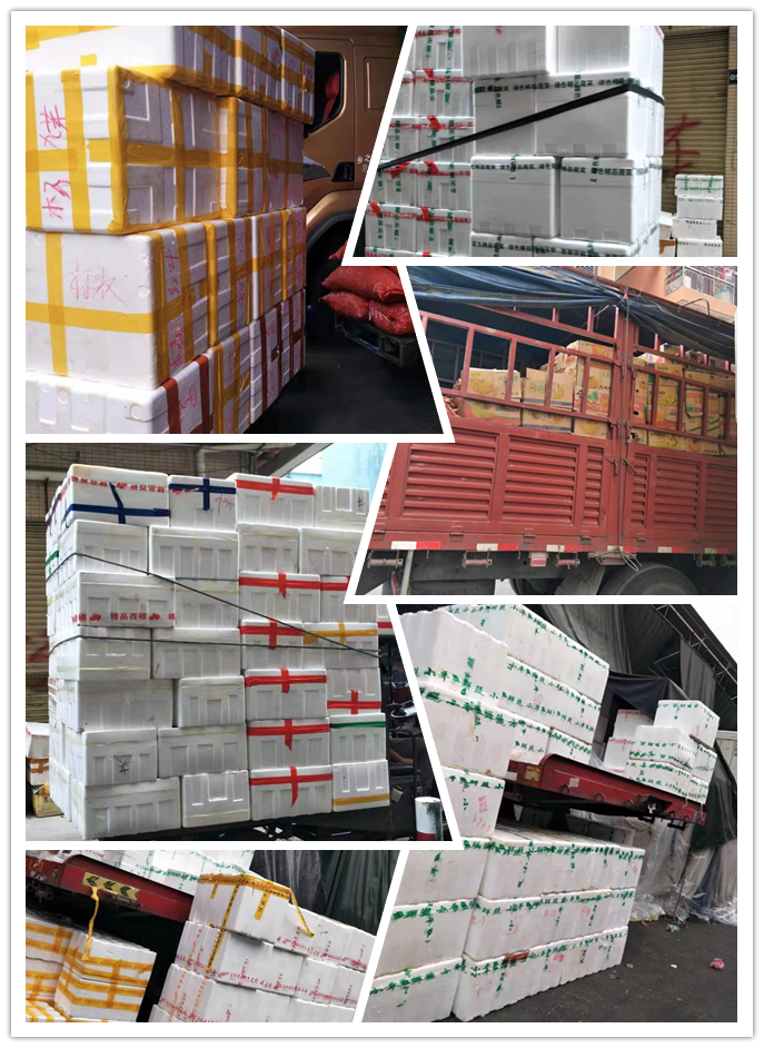 首页| PA视讯集团中国官方网站