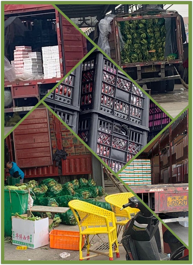 首页| PA视讯集团中国官方网站