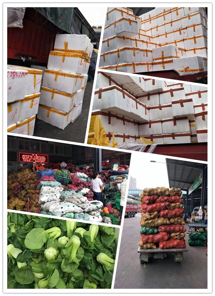 首页| PA视讯集团中国官方网站