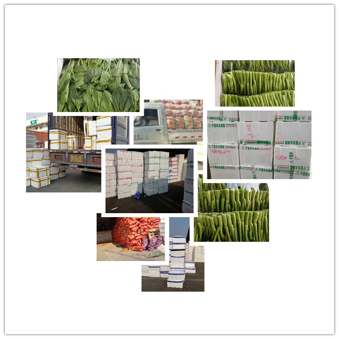 首页| PA视讯集团中国官方网站