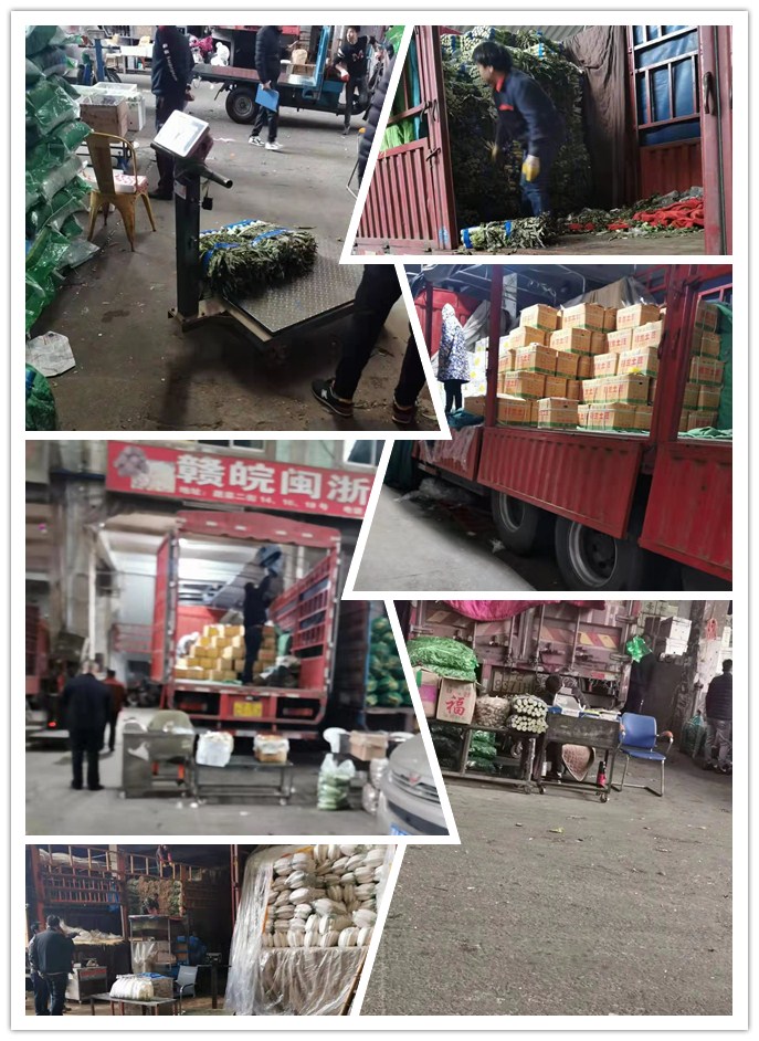 首页| PA视讯集团中国官方网站