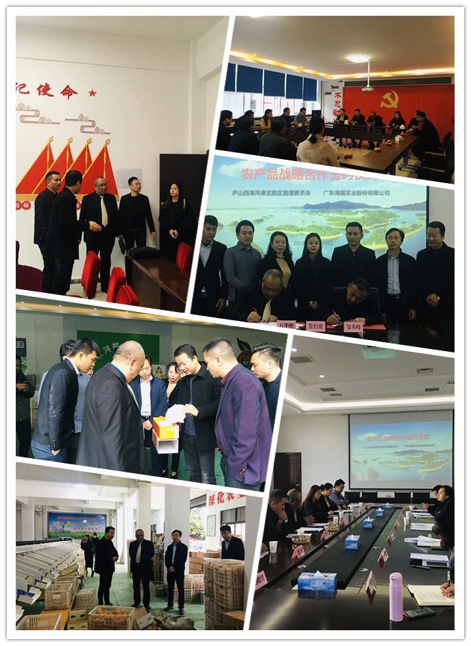 首页| PA视讯集团中国官方网站