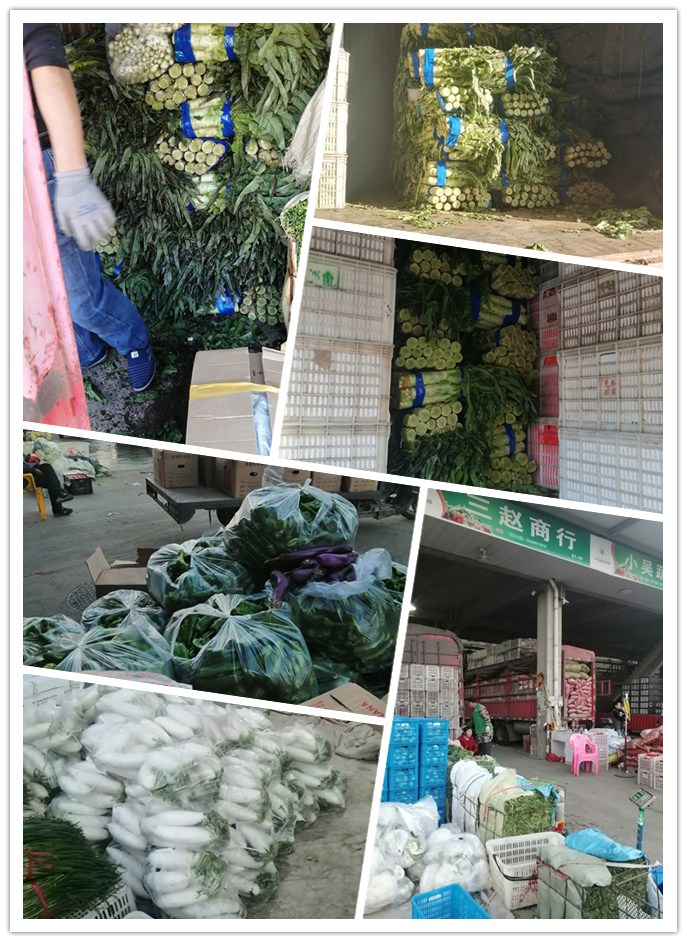 首页| PA视讯集团中国官方网站