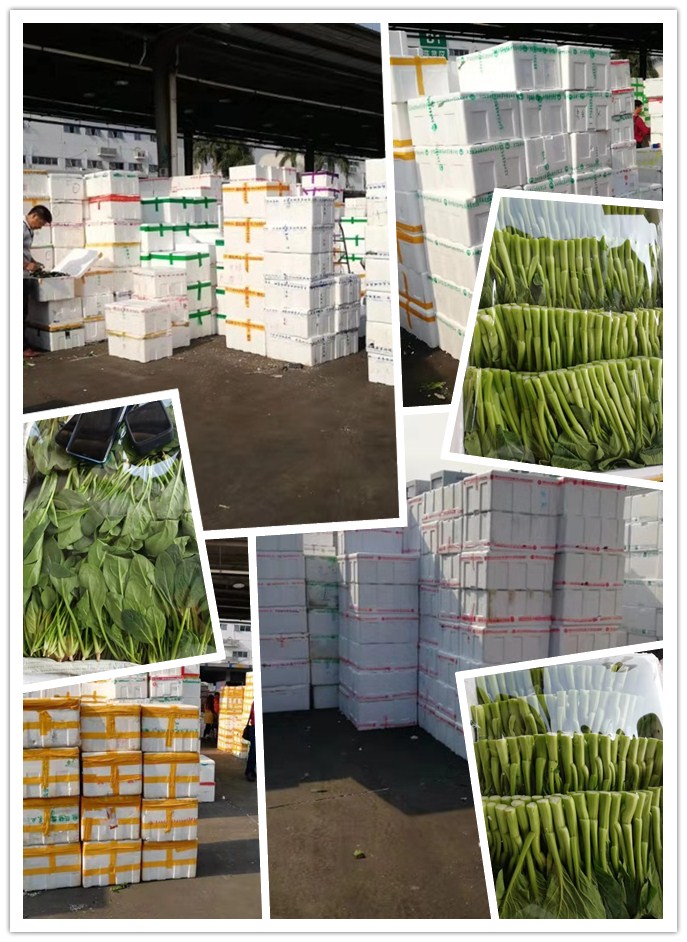 首页| PA视讯集团中国官方网站