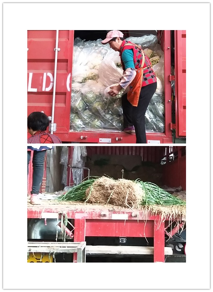 首页| PA视讯集团中国官方网站