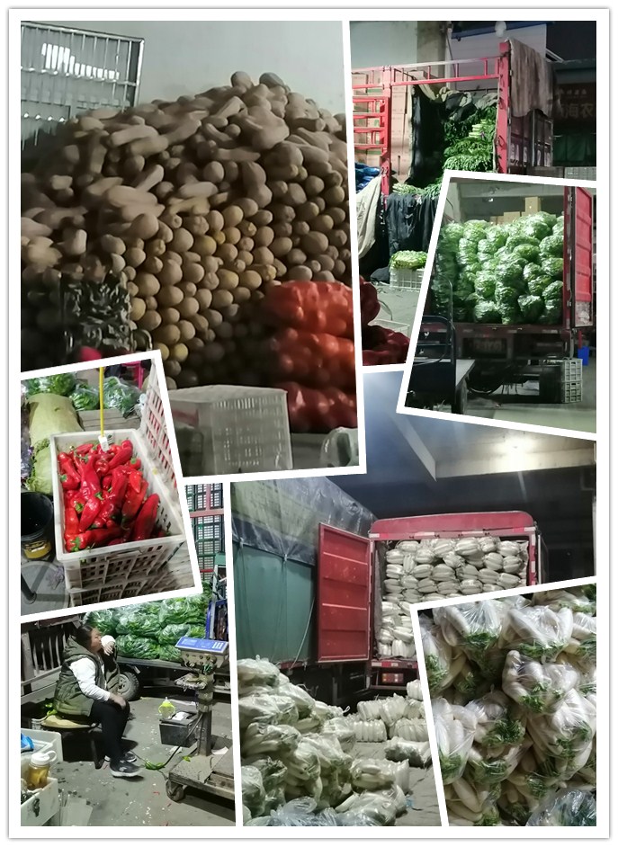 首页| PA视讯集团中国官方网站