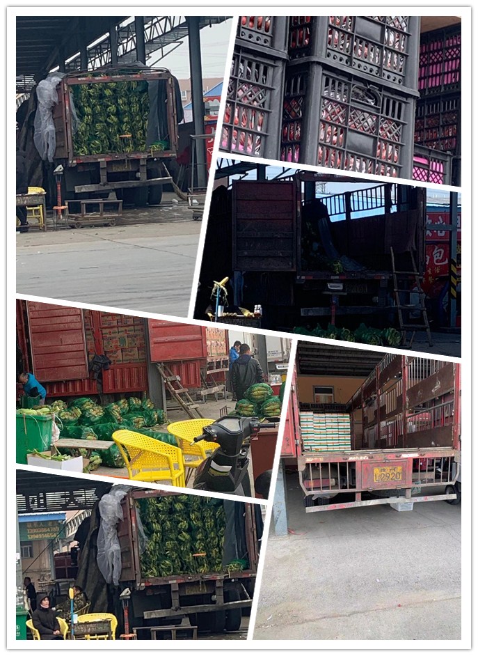 首页| PA视讯集团中国官方网站