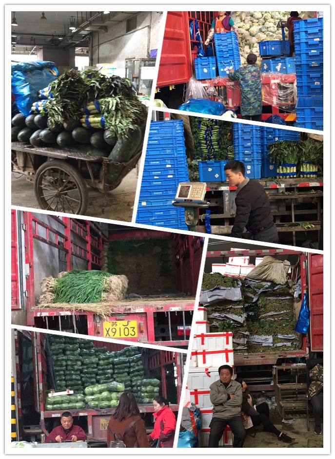 首页| PA视讯集团中国官方网站