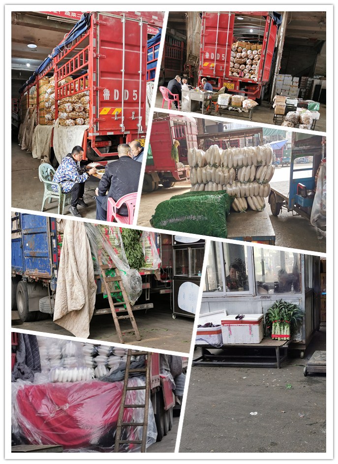 首页| PA视讯集团中国官方网站