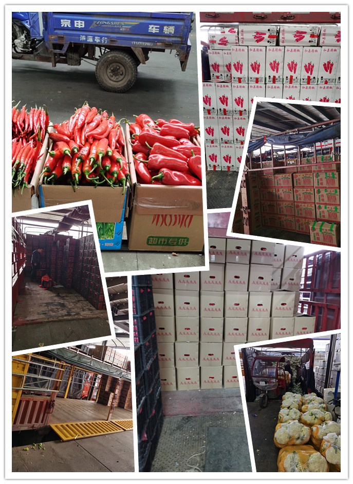 首页| PA视讯集团中国官方网站