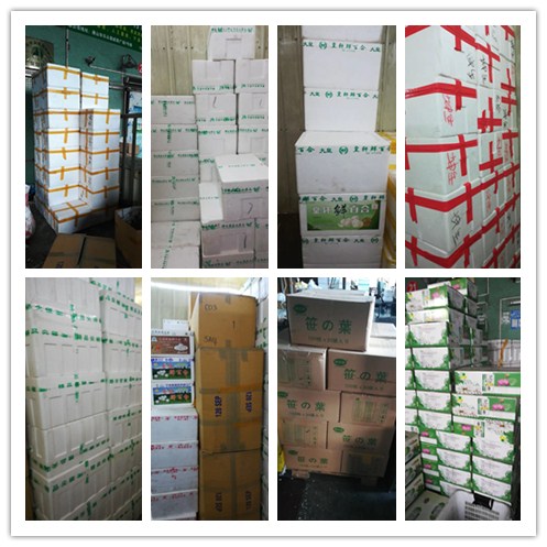 首页| PA视讯集团中国官方网站