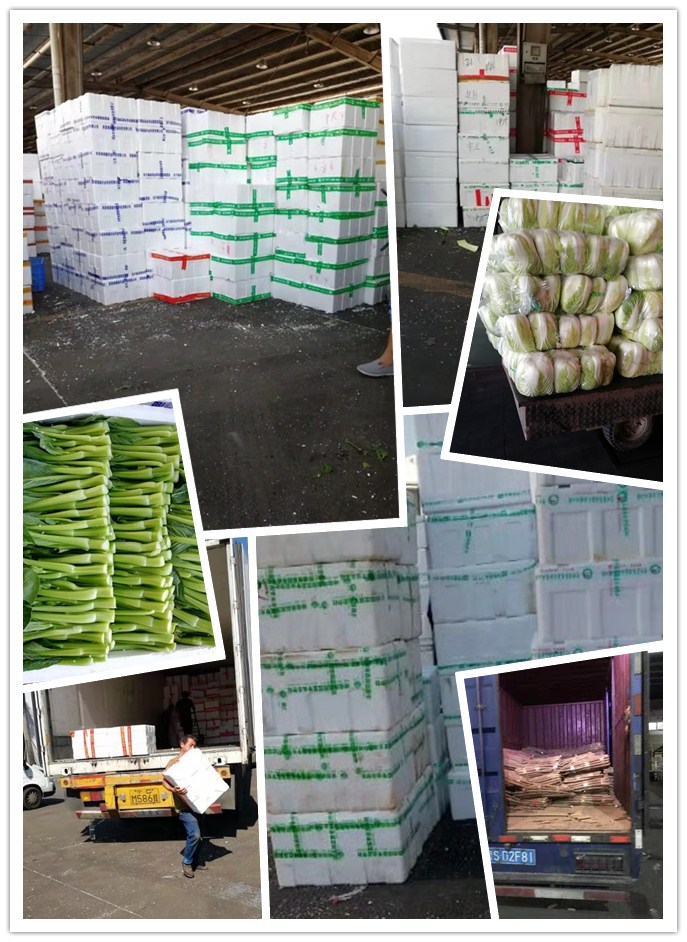 首页| PA视讯集团中国官方网站