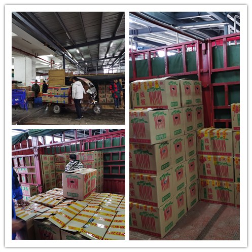 首页| PA视讯集团中国官方网站