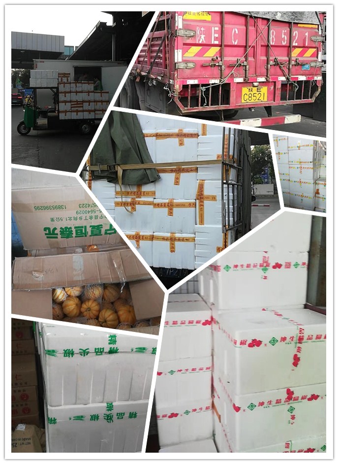 首页| PA视讯集团中国官方网站