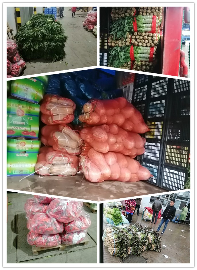 首页| PA视讯集团中国官方网站