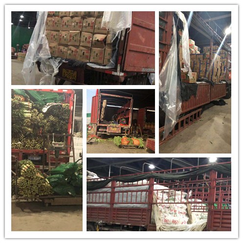 首页| PA视讯集团中国官方网站