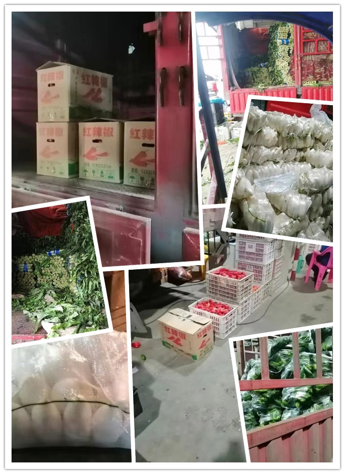 首页| PA视讯集团中国官方网站