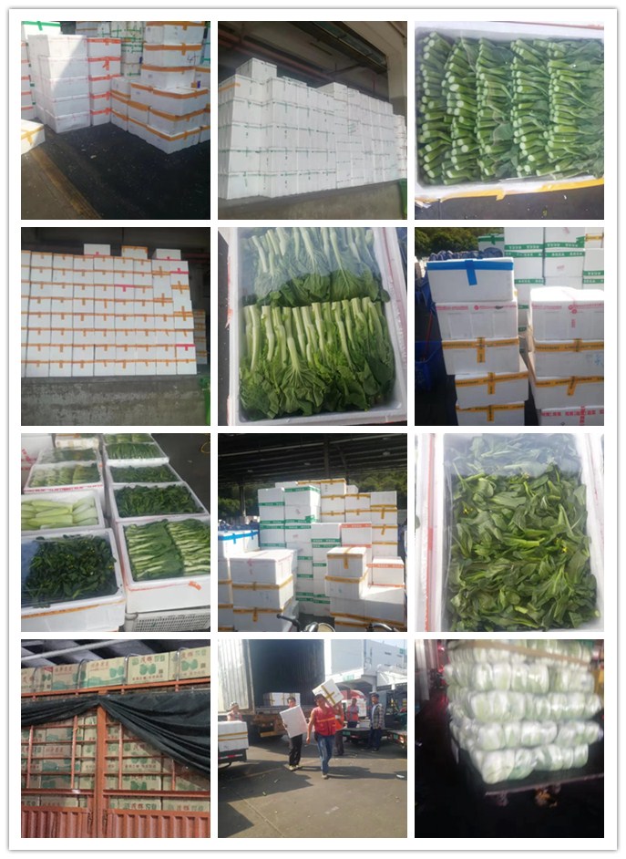 首页| PA视讯集团中国官方网站