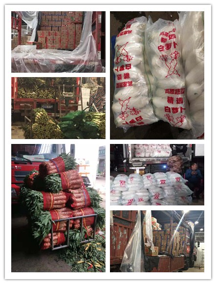 首页| PA视讯集团中国官方网站