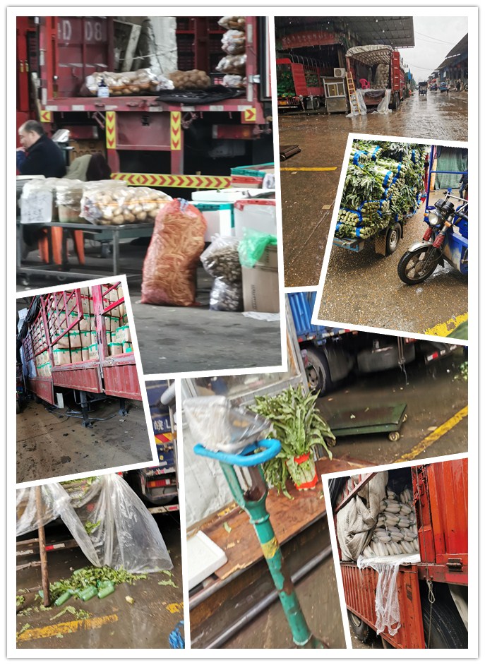 首页| PA视讯集团中国官方网站