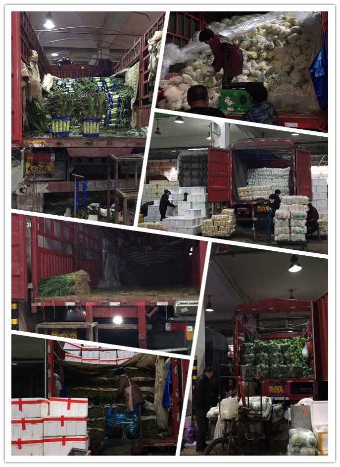 首页| PA视讯集团中国官方网站