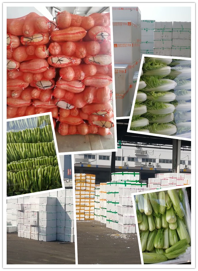 首页| PA视讯集团中国官方网站