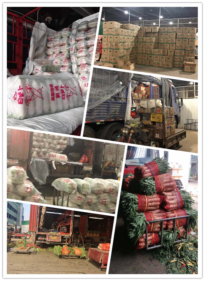 首页| PA视讯集团中国官方网站