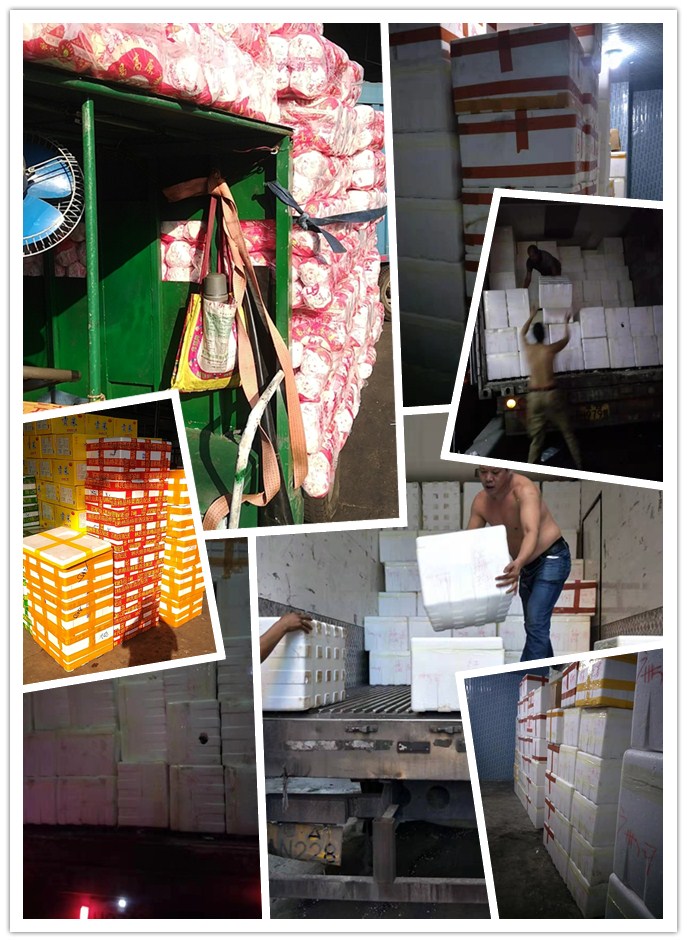 首页| PA视讯集团中国官方网站