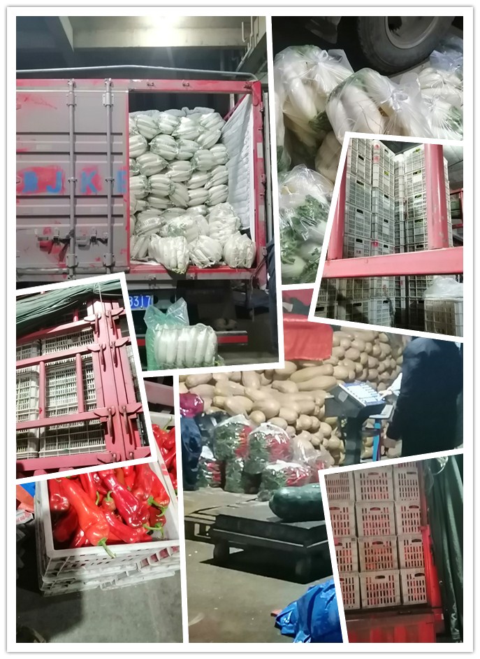 首页| PA视讯集团中国官方网站