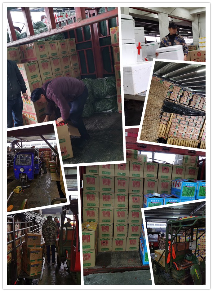 首页| PA视讯集团中国官方网站