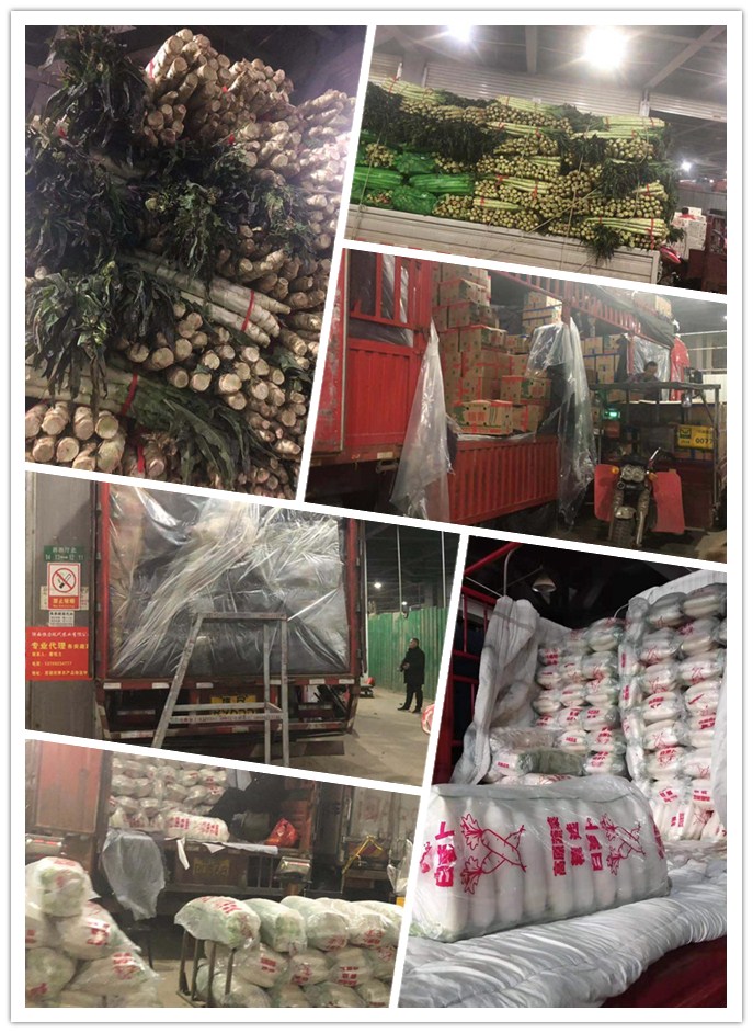 首页| PA视讯集团中国官方网站