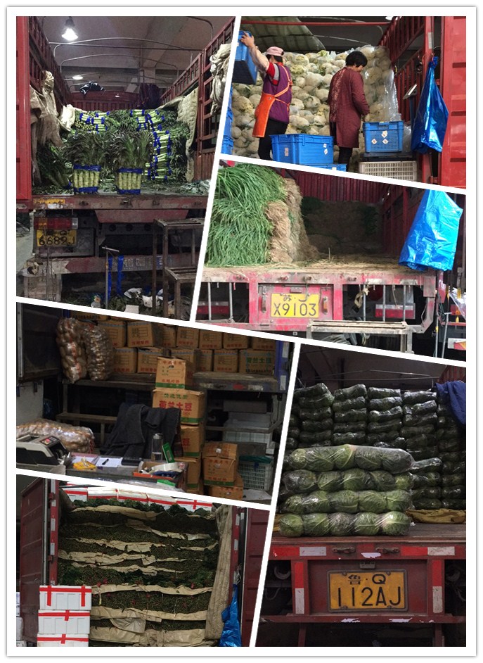 首页| PA视讯集团中国官方网站