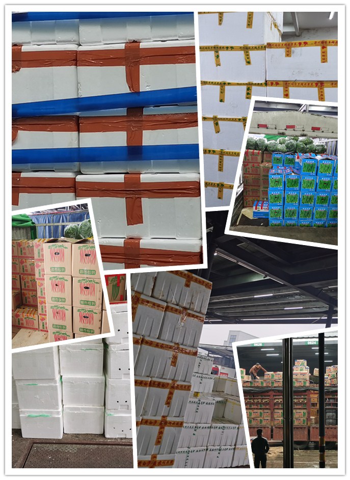 首页| PA视讯集团中国官方网站