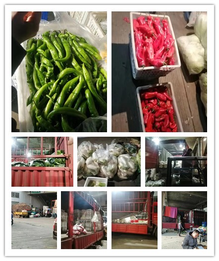 首页| PA视讯集团中国官方网站