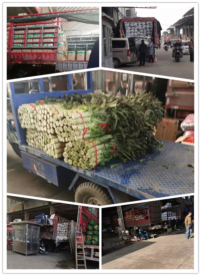 首页| PA视讯集团中国官方网站