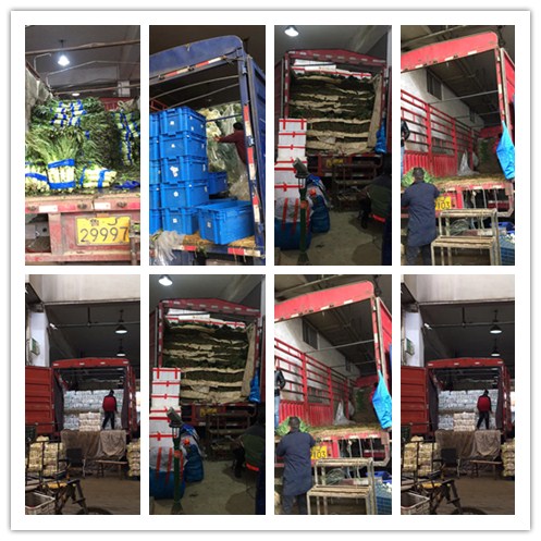 首页| PA视讯集团中国官方网站