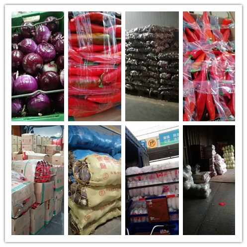 首页| PA视讯集团中国官方网站