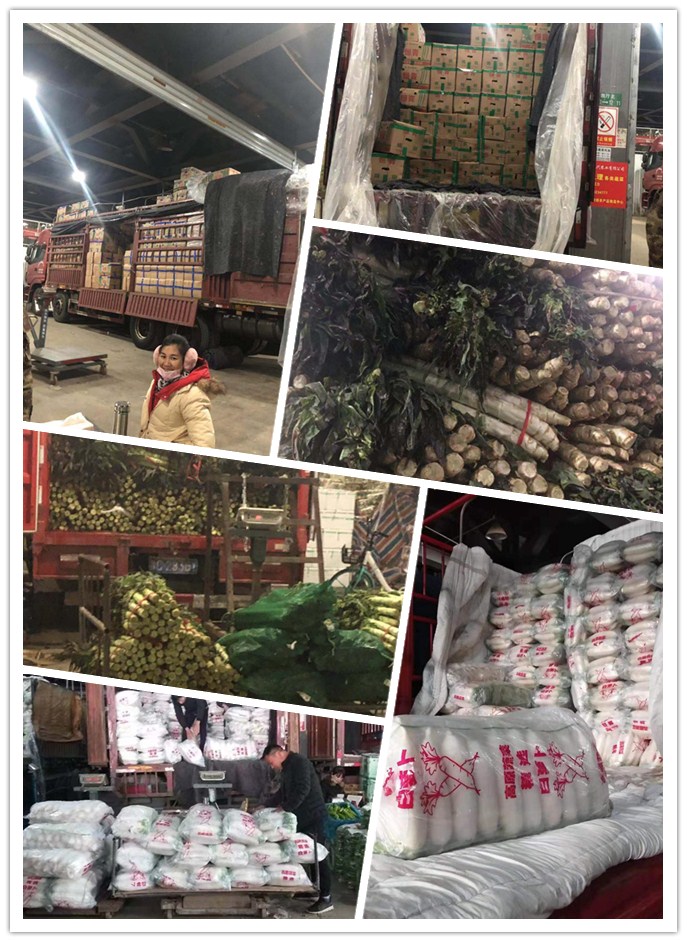 首页| PA视讯集团中国官方网站