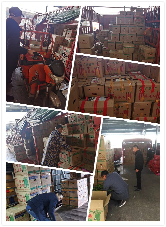 首页| PA视讯集团中国官方网站