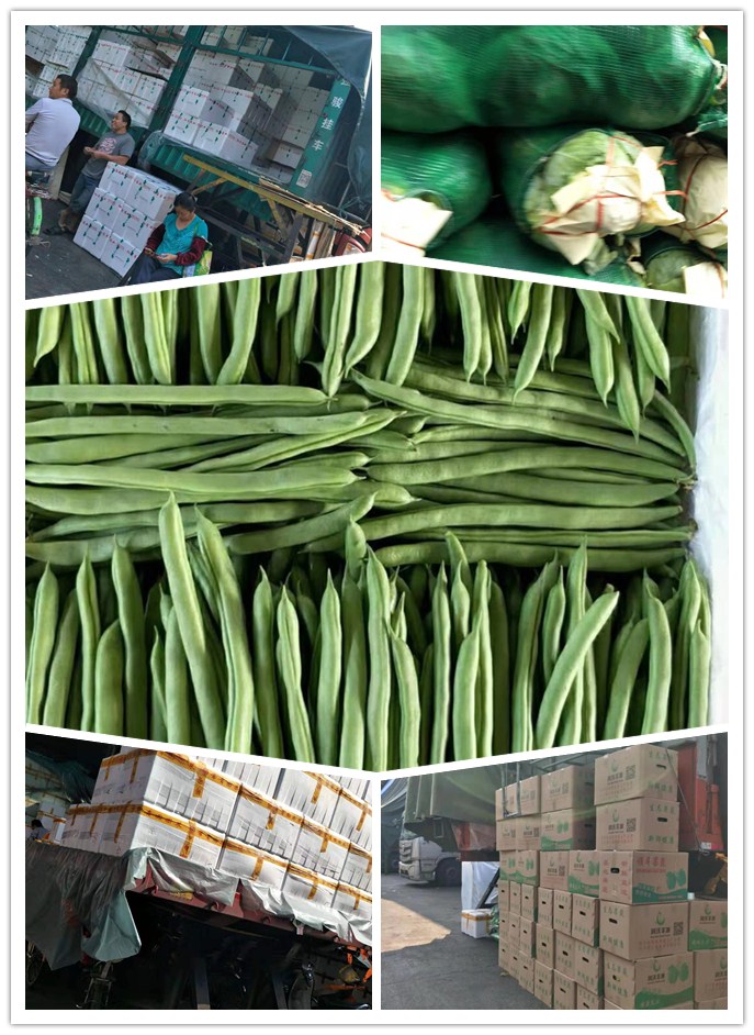 首页| PA视讯集团中国官方网站