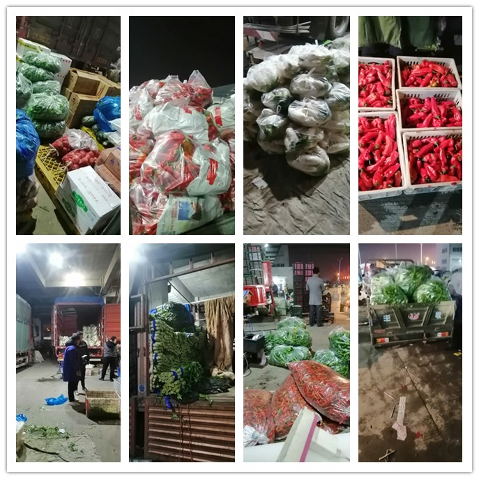 首页| PA视讯集团中国官方网站