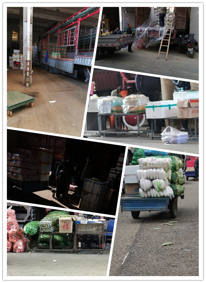 首页| PA视讯集团中国官方网站