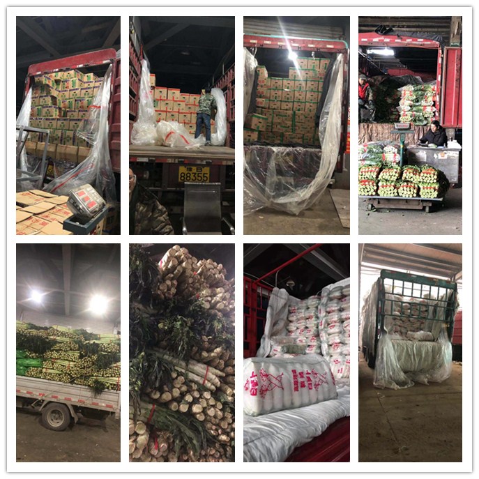 首页| PA视讯集团中国官方网站