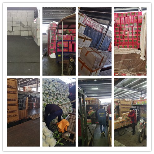 首页| PA视讯集团中国官方网站