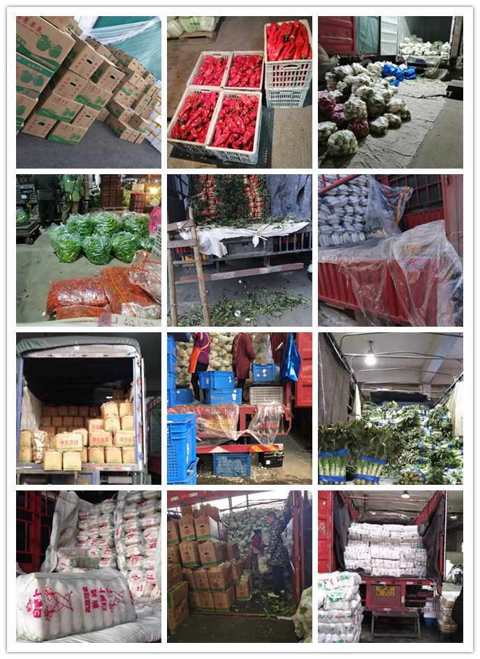 首页| PA视讯集团中国官方网站