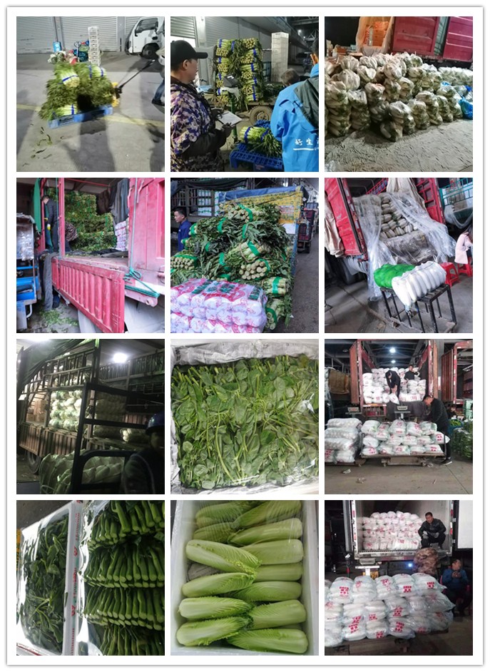 首页| PA视讯集团中国官方网站