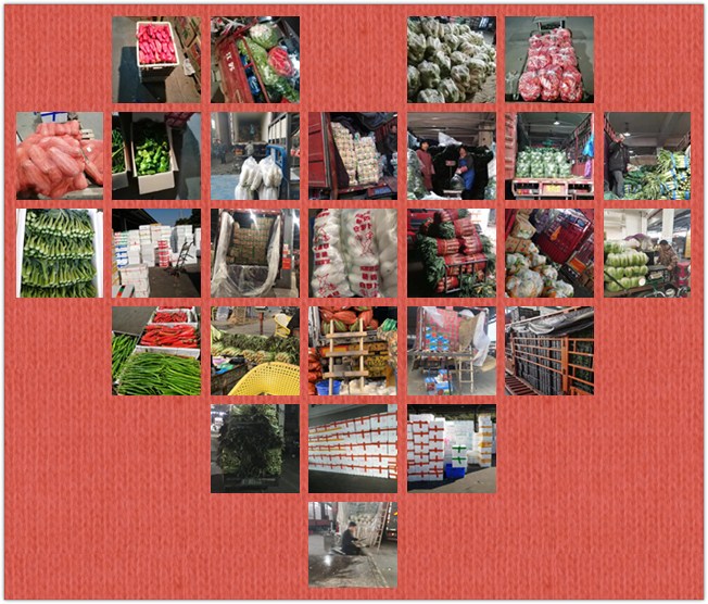 首页| PA视讯集团中国官方网站