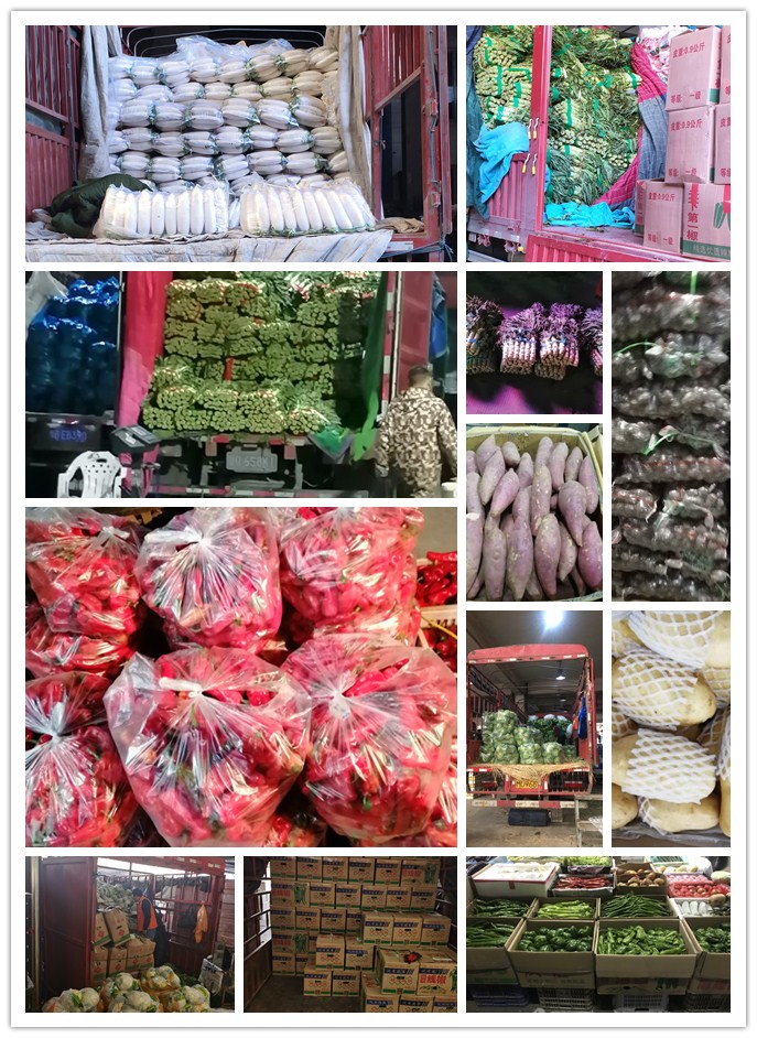 首页| PA视讯集团中国官方网站