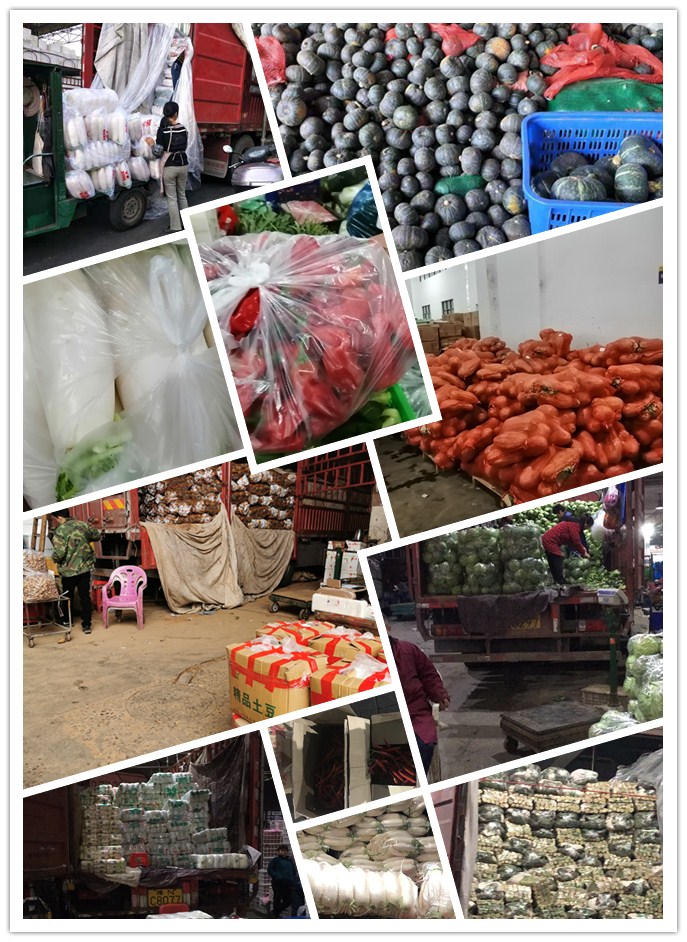 首页| PA视讯集团中国官方网站